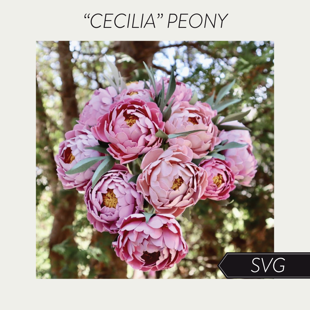Mini Paper Peony "Cecilia" SVG